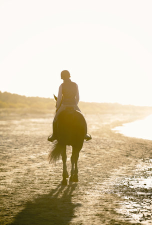 Young Lady riding horse on the sea/ocean beach at sunset. Vibrant multicolored summertime outdoors vertical image with vintage filter and backlitの写真素材
