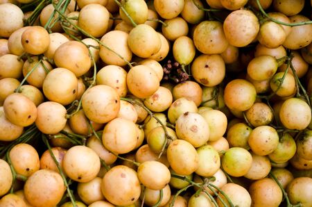 Lanzoneの写真素材