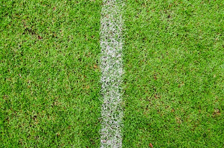 Freshly green football field with a vertical white lineの写真素材