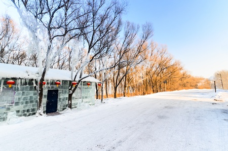 an ice hut on a snowy road with some orange treesのeditorial素材