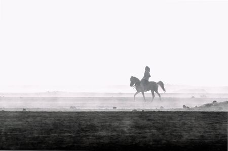 silhoutte of a woman with short hair riding on a horseの写真素材