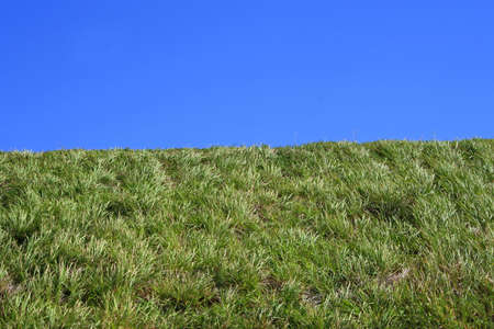 Grass hill against pure blue skyの写真素材