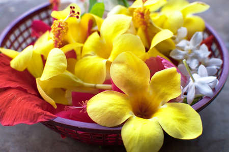 Flowers in plastic basket,offerings to the gods or flowers for pujaの写真素材