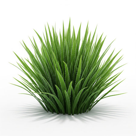 Aloe vera plant isolated on white background. 3D illustration.の素材