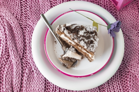 chocolate cake on pink fabric. musse filled with chocolate and whipped cream on square plate and white flowers
の写真素材