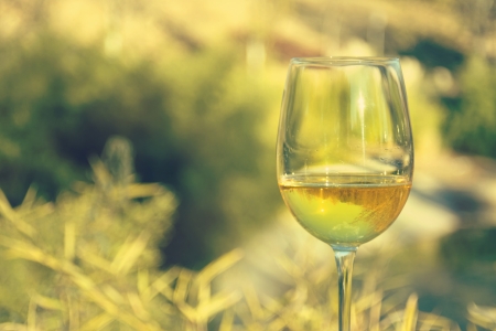 glass of white wine, wooded landscape,horizontal imageの写真素材