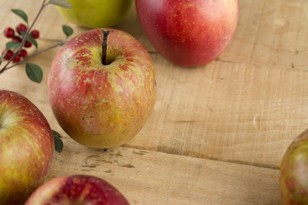 Real apples, ecological harvest on wood background. Shot with natural lightの写真素材