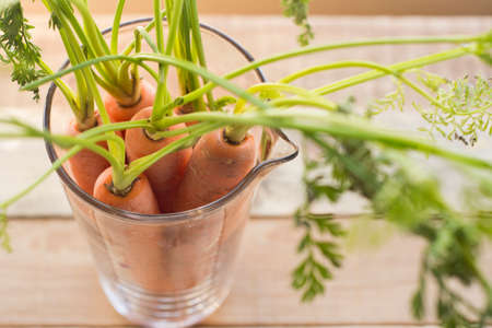 fresh carrots bunch on wood 