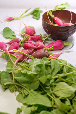 Fresh radish on white wooden tableの写真素材