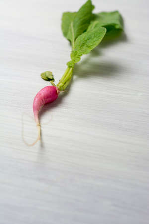 Fresh radish on white wooden tableの写真素材