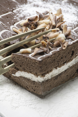 chocolate cake. musse and chantilly creamの写真素材