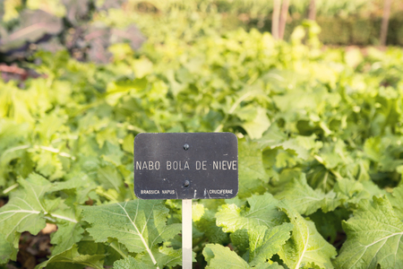 detail signboard, Garden, planted in store garden ecologicalの写真素材
