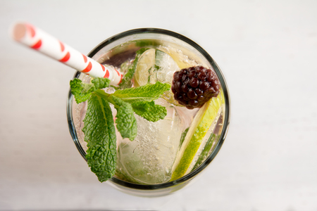 Gin tonic cocktail with lime, red fruit ice and mint, white background. Close up detailの写真素材