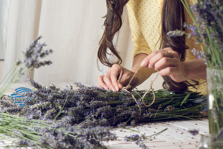 Florist at work: woman creating bouquet of natural lavender flowers, tying the flowers with a rope in te wooden table, small business concept. Close-upの写真素材
