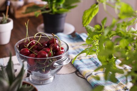 Ecological cherries in glass bowl, on the table, cultivated without pesticides, of manual pickingの写真素材