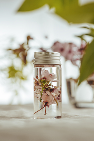 Essential oil and fresh almond flowers, on green leaves backgroundの写真素材