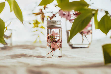 Essential oil and fresh almond flowers, on green leaves backgroundの写真素材