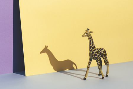 Plastic toy giraffe, on yellow and blue background casting its shadow.の写真素材