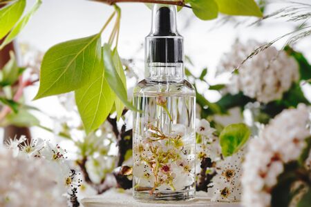 Essential oil, with fresh white flowers of cherry, on green leaves backgroundの写真素材