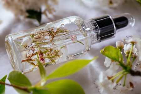Essential oil, with fresh white flowers of cherry, on green leaves backgroundの写真素材