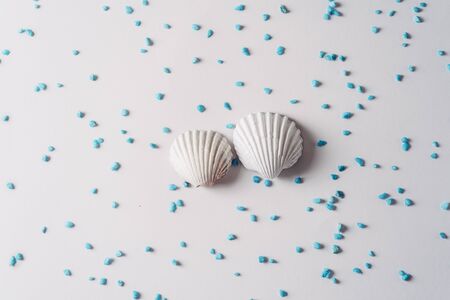 White sea shell surrounded by blue sand on bright background, Summer time conceptの写真素材