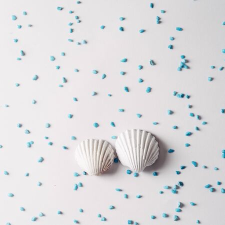 White sea shell surrounded by blue sand on bright background, Summer time conceptの写真素材