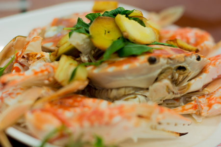 fresh steam crab on white plateの写真素材