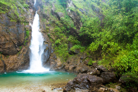 Tropical waterfall in forestの写真素材