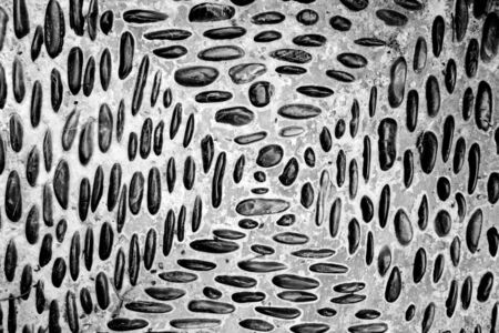 Cobblestone textureの写真素材