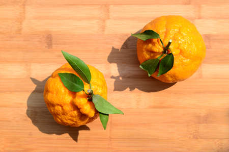 two orangeの写真素材
