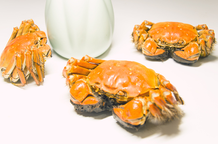 Hairy crabsの写真素材