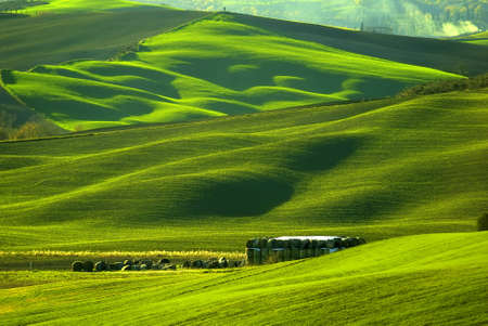 a picture of the tuscany green hills and landscapeの写真素材