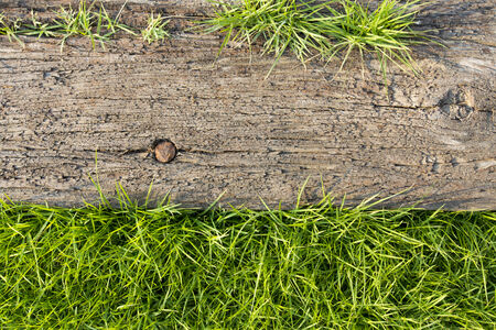 Wood in the yardの写真素材