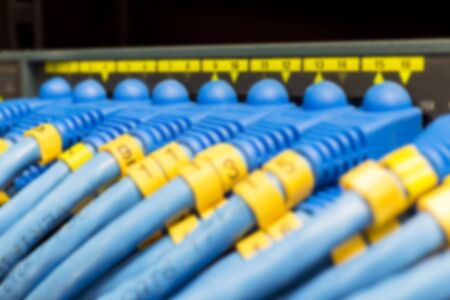 RJ45 CAT6 Lan cable connected to switch in soft focus