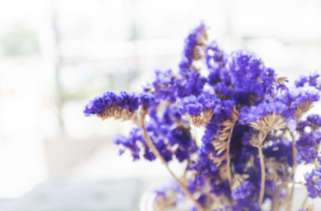 vintage lavender decorate in soft focusの写真素材