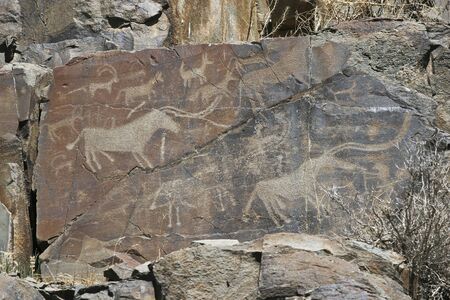 Hunting of prehistoric manの写真素材