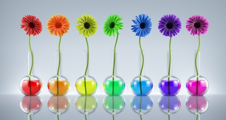 Flowers in laboratory flasks with liquids of different colorsの写真素材