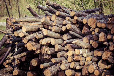 Picture of a pile of fire wood in daylight