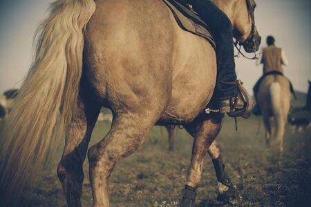 Picture of horseman riding a horse.の写真素材