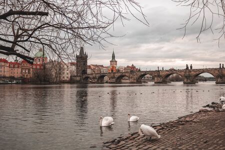 Morning in pragueの写真素材