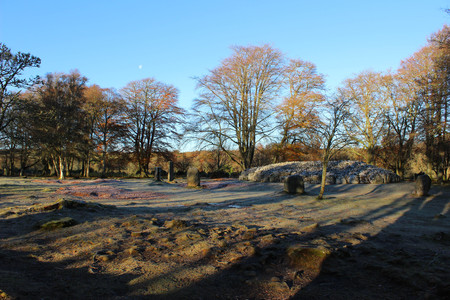 Moody sunset view of Clava Cairns in the Scottish Highlands during late fall or early winter with bare trees and colored leaves on the ground.の写真素材