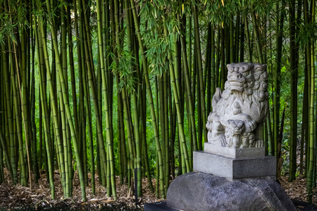 Traditional Shi Shi Dog or Shisa statue or Foo Dog - statue to ward off evil and protect in a bamboo garden.の写真素材
