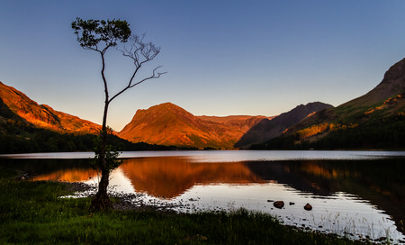Stunning silhouette of a lone small birch tree and the surrounding mirror lake reflection and mountains of Buttermere in the Lake District in Cumbria, England UK.の写真素材