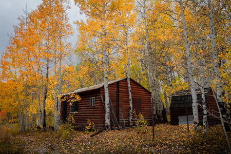 Gorgeous log cabin amongst beautiful colored autumn leaves in Utah, USA.のeditorial素材