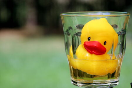 rubber duck toyの写真素材