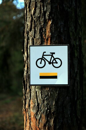 bicycle trackの写真素材