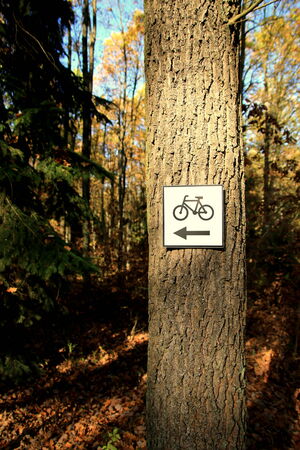 bicycle trackの写真素材