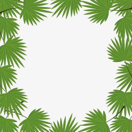 Vector illustration background with tropical leaves, frame from leaves of palm tree, summer background.Graphics element.のイラスト素材