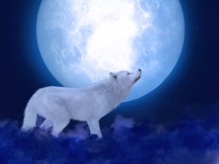 3D rendering of a majestic white wolf standing in front of a big moon. Stars in the night sky, blue...