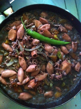 Squid adoboの素材